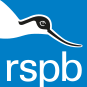 RSPB Rainham Marshes